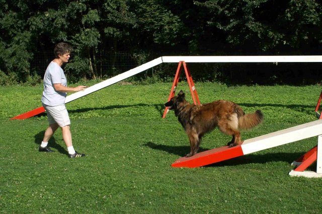 agility 2011-08